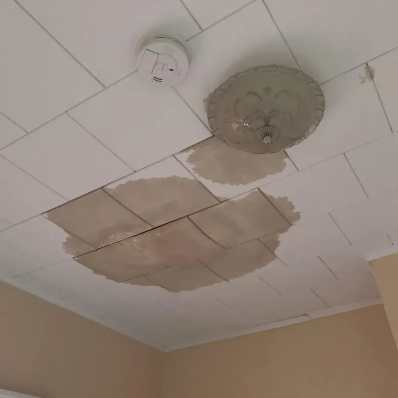 Ceiling Water Damage Repair in Cleveland County, AR